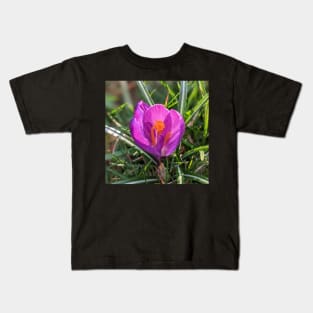 Orange and Purple Flower in the Sun Kids T-Shirt